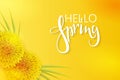 Vector illustration of spring banner template with hand lettering phrase - hello spring - with dandelions and grass Royalty Free Stock Photo