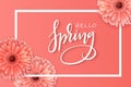 Vector illustration of spring banner template with hand lettering phrase - hello spring - with realictic gerbera flowers Royalty Free Stock Photo