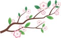 Vector illustration of spring bloom branch with pink flowers and leaves. isolated on white Royalty Free Stock Photo