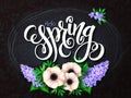 Vector illustration of spring lettering - hello spring with frame, anemone and lilac flowers and doodle background