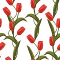 Vector illustration. Spring red flowers on white background.