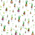 Vector illustration spring seamless pattern with onions