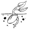 Sprout from the seed. Vector illustration of sprouted seeds. Hand drawn young sprout from a seed. Starting plant from seed