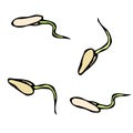 Vector Illustration of Sprouting Seeds. Seedling, Shoot, Gardening Plant. Trees, Flowers, Vegetables Cucumber, Zucchini, Pumpkin,