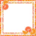 Square white frame and rectangle label on citrus fruit background