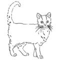 Vector illustration of a standing cat with a raised tail.