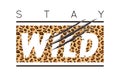 Vector illustration with Stay Wild slogan with leopard skin and animal claw scratches. T-shirt design, typography graphics