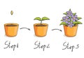 Vector illustration of steps growing