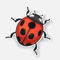 Vector illustration. Sticker of ladybug top view with contour. Red bug with black spots Royalty Free Stock Photo