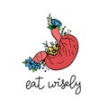 Vector illustration of the Stomach with text Eat wisely.