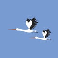 Vector illustration of storks on blue background, birds set cartoon style