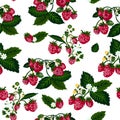 Vector illustration of strawberries seamless pattern.