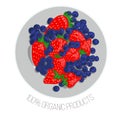 Vector Illustration of Strawberry and Blueberry, Organic Food