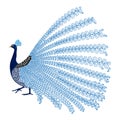 Vector illustration of stylized abstract peacock