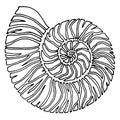 1588 shell, vector illustration, stylized shell in black and white, isolate