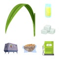 Vector design of sugarcane and cane sign. Collection of sugarcane and field vector icon for stock.