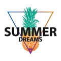 Vector illustration summer dream pineappel on a white background. Royalty Free Stock Photo