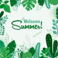 Vector illustration of summer greeting card or poster Welcome Summer leaf banner. Lettering summer season for greeting