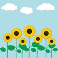 Vector illustration with sunflowers and clouds