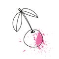 Vector illustration of a sweet cherry in the form of a contour with a bright juicy splash. Royalty Free Stock Photo