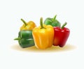 Vector illustration sweet pepper