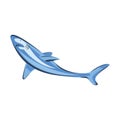 Vector illustration swimming shark animal sea fish Royalty Free Stock Photo
