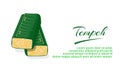 Tempe or tempeh, made from soybeans in environmentally friendly banana leaf packaging, isolated on white back