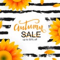 Vector illustration template for autumn sale Royalty Free Stock Photo