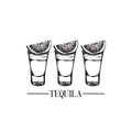 Vector illustration of tequila glasses