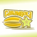 Vector illustration on the theme of carambola