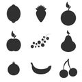 Vector illustration on the theme fruit