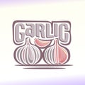 Vector illustration on the theme of garlic Royalty Free Stock Photo