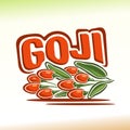 Vector illustration on the theme of goji