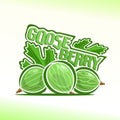 Vector illustration on the theme of gooseberry