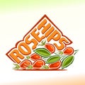 Vector illustration on the theme of rose hips