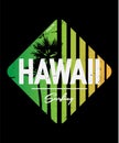 Vector illustration on the theme of surf and surfing in Hawaii. Grunge background. Typography, t-shirt graphics, print