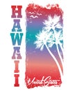 Vector illustration on the theme of surf and surfing in Hawaii. Grunge background. Typography, t-shirt graphics, print