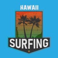 Vector illustration on the theme of surf and surfing in Hawaii, beach. Grunge background. Typography, t-shirt graphics Royalty Free Stock Photo