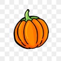 Vector illustration of thin black outline pumpkin isolated on transparent background. hand drawn vector. doodle fruit and vegetabl