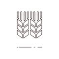 Vector illustration of thin line wheat icon on white background