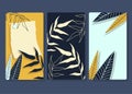 Vector illustration of three backgrounds for instagram stories, advertising flyers or greeting cards with tropical leaves in blue