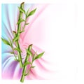Vector illustration of three bamboo stems. on silk drapery and free space for your text Royalty Free Stock Photo