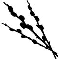 Three willow branches with buds. Shape.