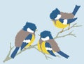 Vector illustration of three cute cartoon titmouse birds sitting on branch