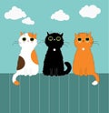 Three kittys on fence