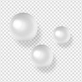 Shiny natural white sea pearls with light effects isolated on transparent background.