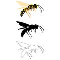 Vector illustration in three styles outline, silhouette, flat design, on the theme of an insect wasp in flight