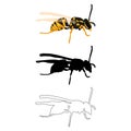 Vector illustration in three styles outline, silhouette, flat design, on the theme of the wasp insect