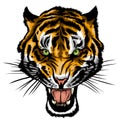 Tiger anger. Vector illustration of a tiger head.