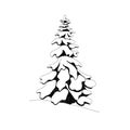 Vector illustration tir tree with snow.